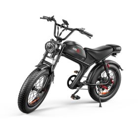 C93 - 20 Inch 20A Electric Bike (Option: A)